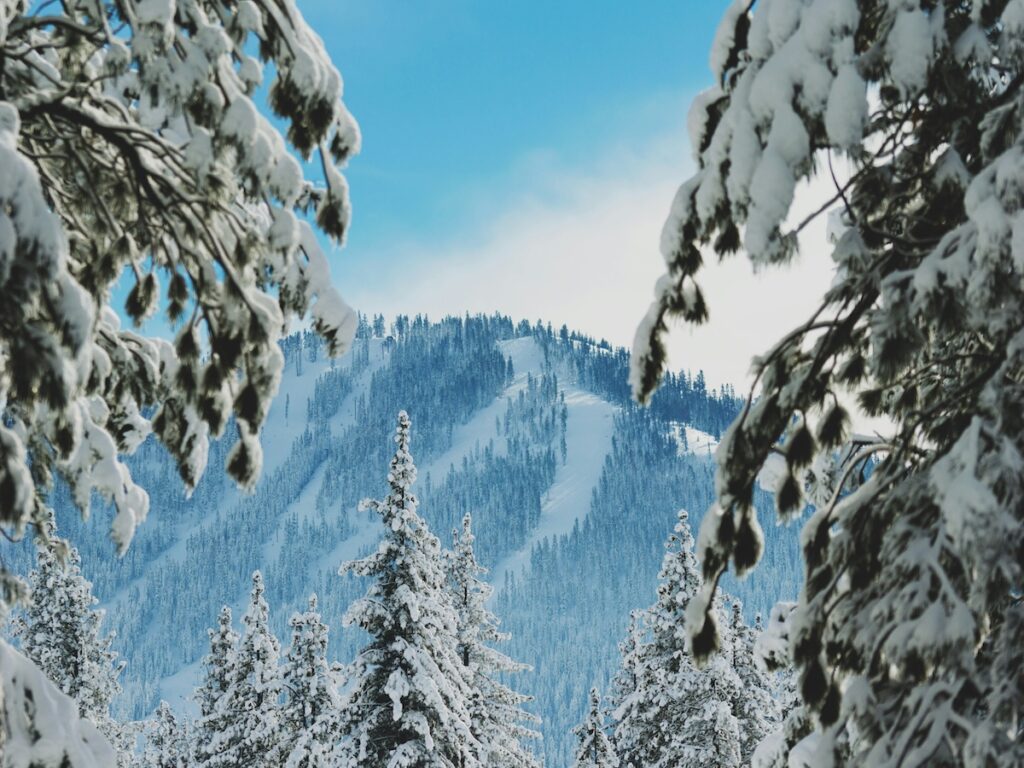 A ski resort through snowy trees.
