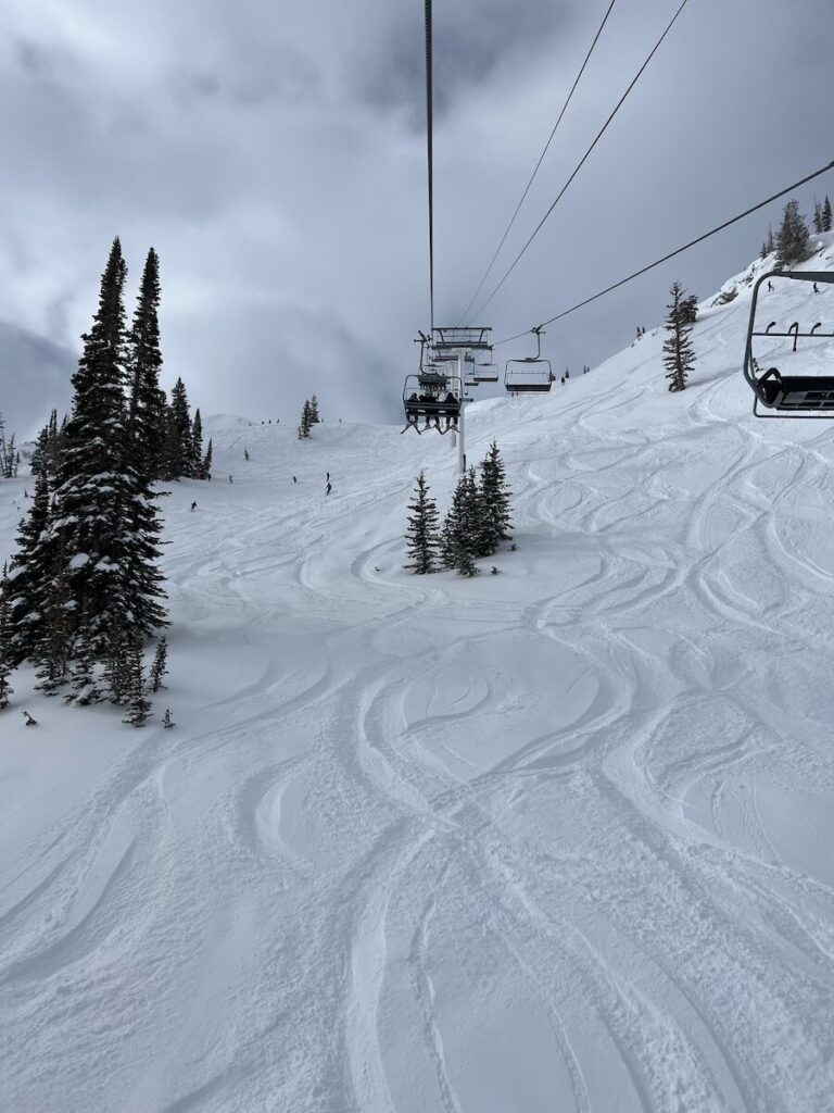 Fresh tracks in Utah at a ski resort after a large storm.