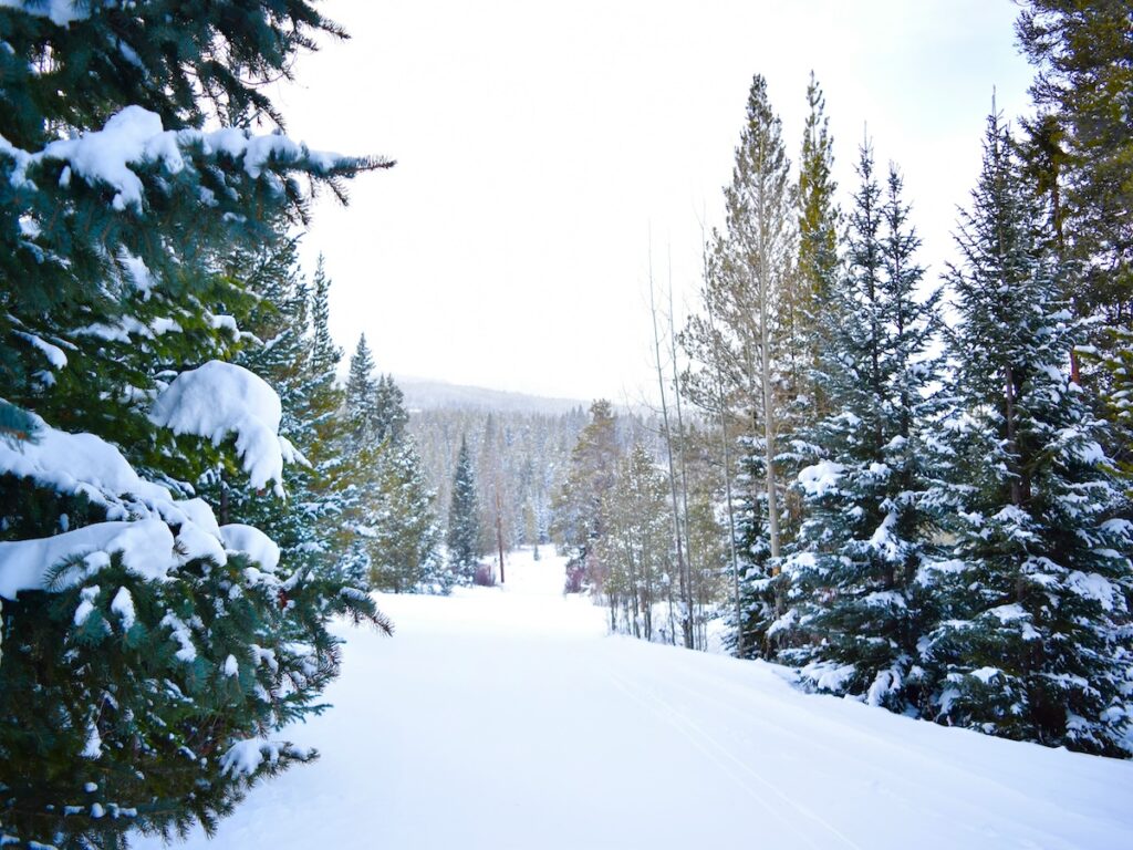 A groomed run at a ski resort.