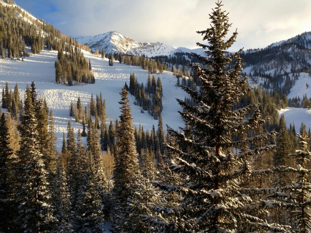 A ski resort surrounded by pretty green trees.