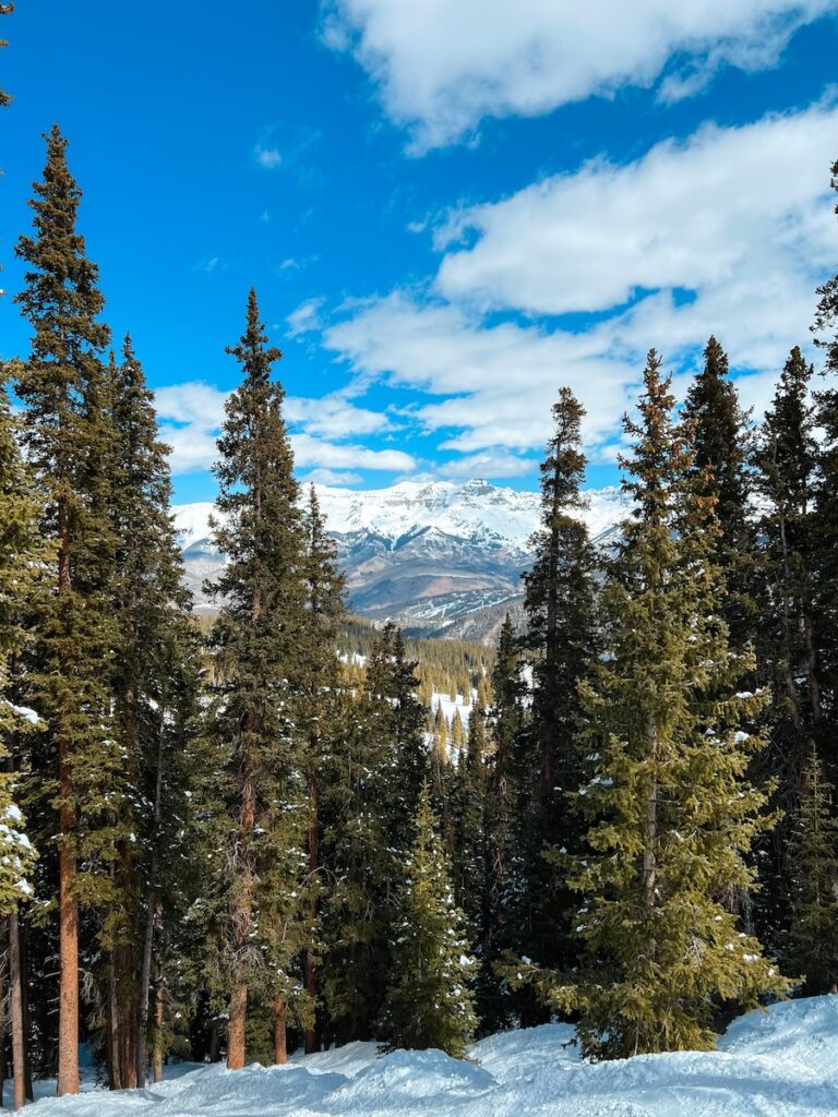 Mountain tops and tall trees at one of the best places to ski in spring: Telluride.