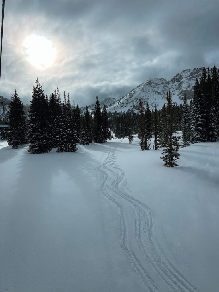 Fresh powder tracks at Alta after a snowstorm.
