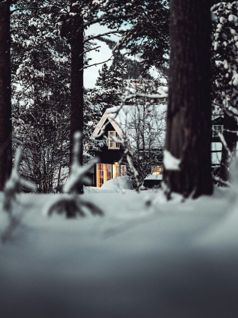 A Ski In Ski Out house in the woods surrounded by snow.