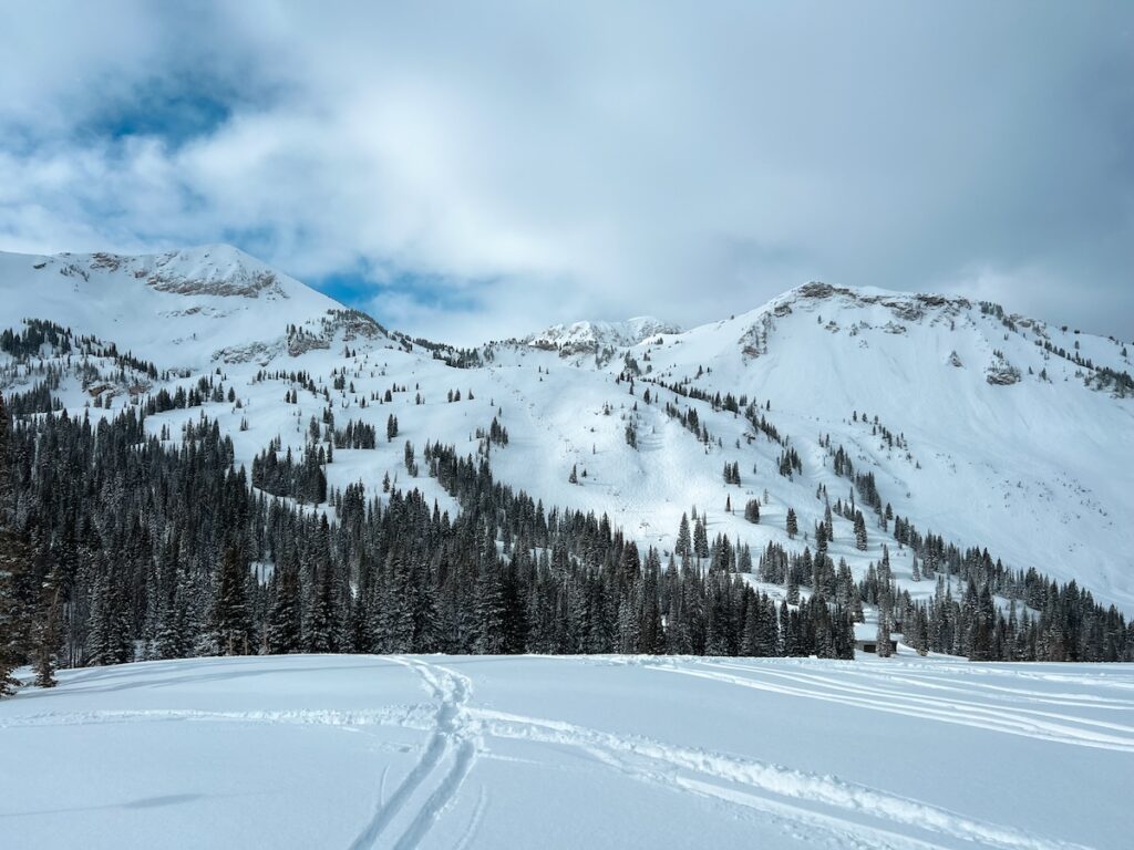 Alta vs Snowbird, comparing two of the best ski resorts in Utah. 