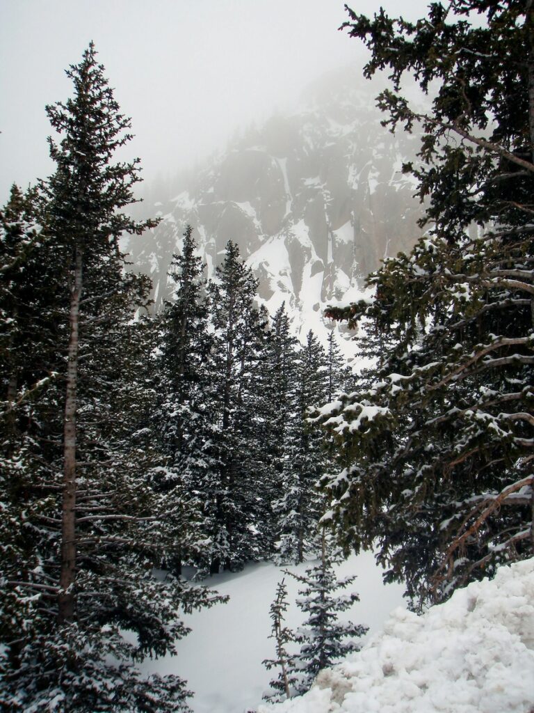 A snowy day at a ski resort with mountains and trees.