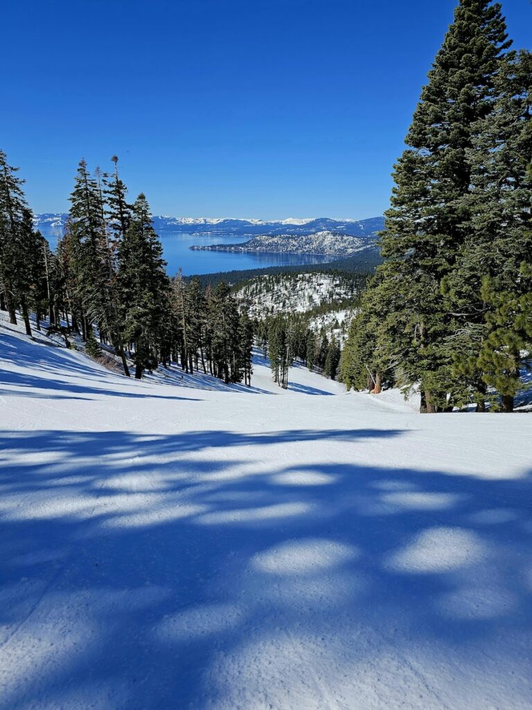 The ski slopes in Lake Tahoe surrounded by tall green trees.