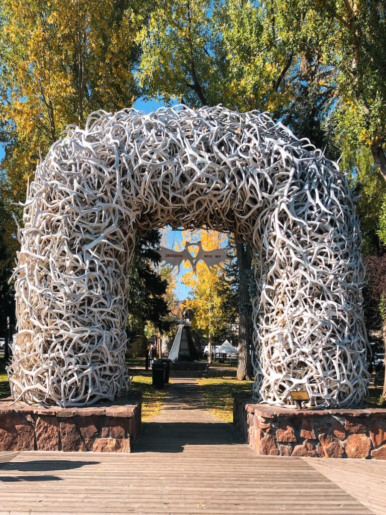 The Jackson Town Square antler archway.