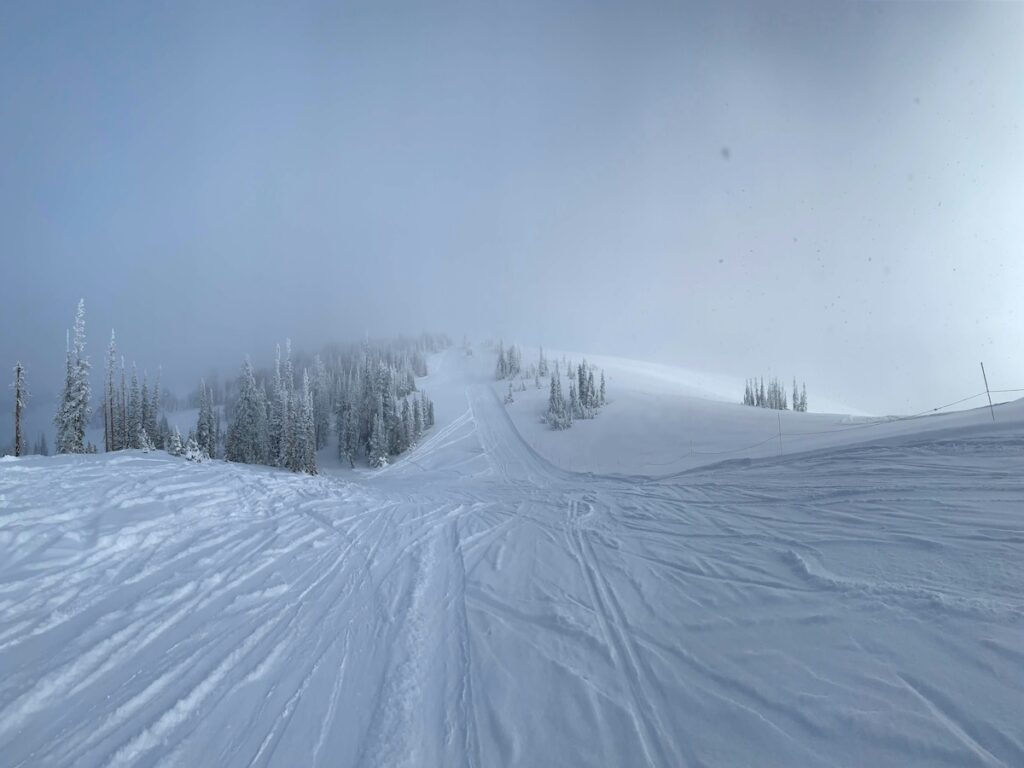 Ski tracks on a powder day at Powder Mountain in Utah.