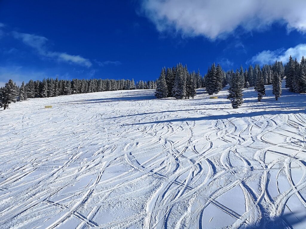 Fresh tracks in the powder in Colorado.