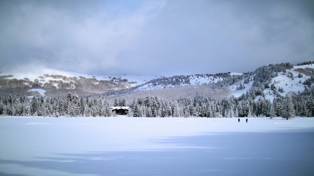 A snowy field near Solitude.