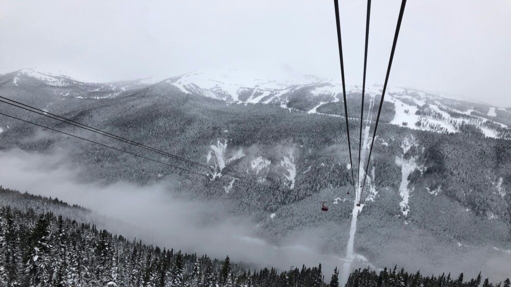 The gondola at Whistler looking down at countless trees.