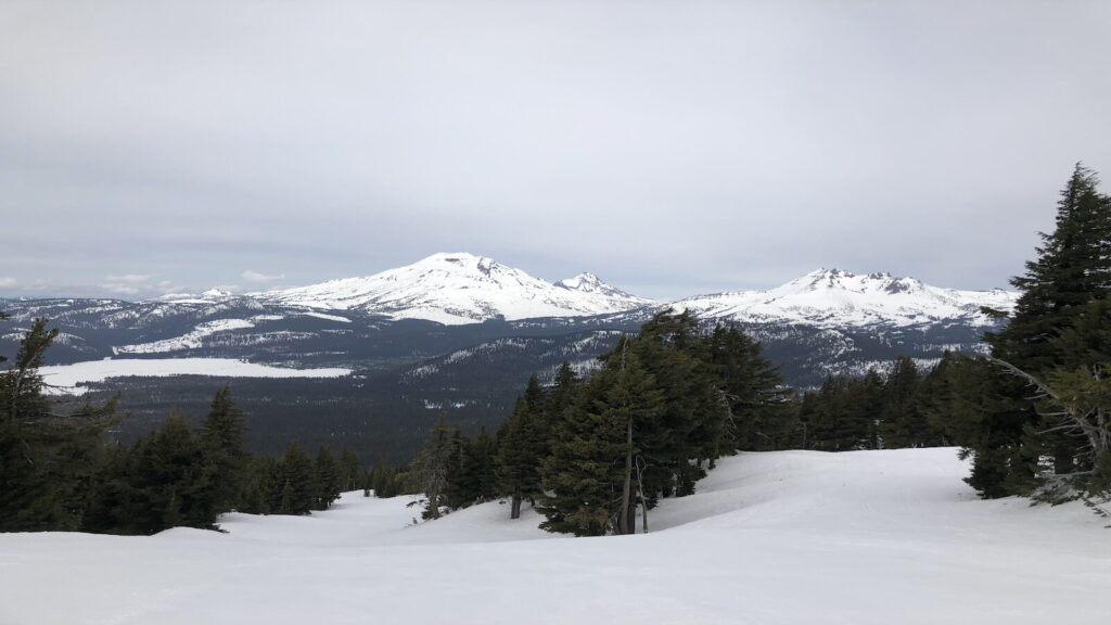 Mountain and tree views from Mt Bachelor.