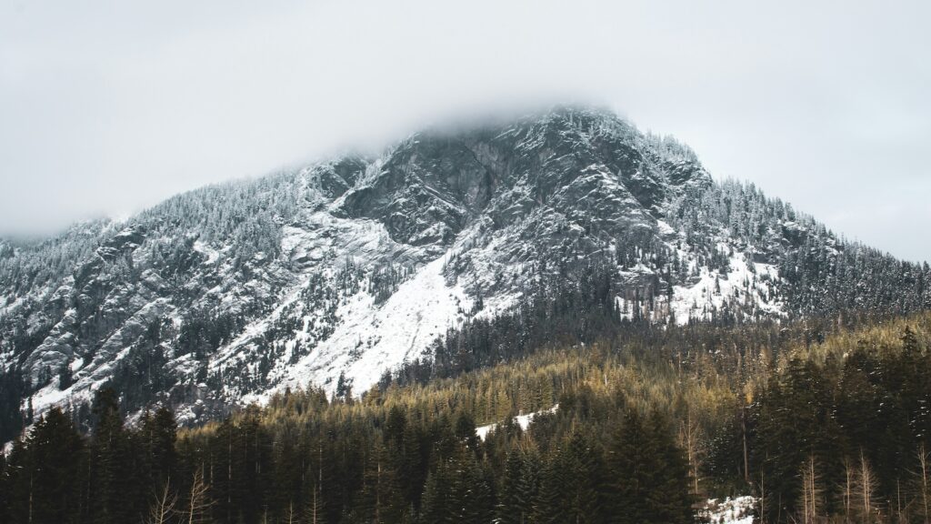 The drive leading to The Summit at Snoqualmie.