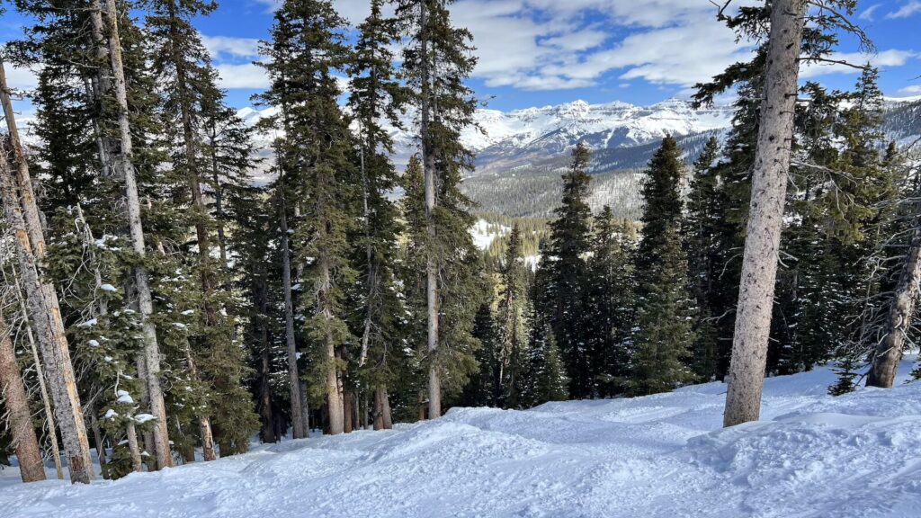 Tree skiing at Telluride with mountains in the distance.