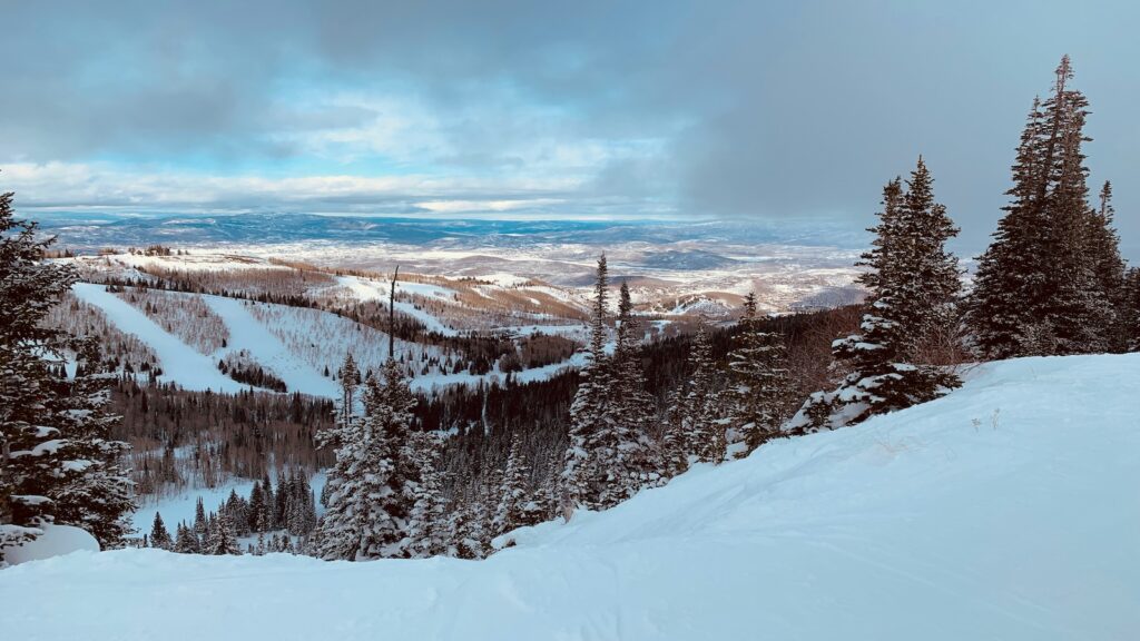 Tree lined ski slopes in Utah.