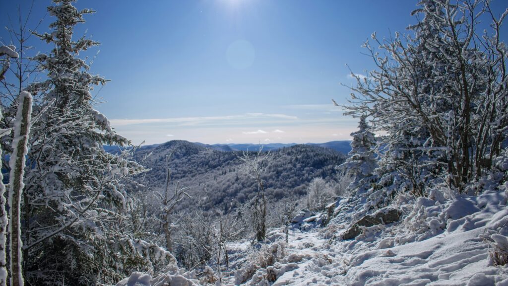 A snowy landscape on a bluebird day in Vermont.