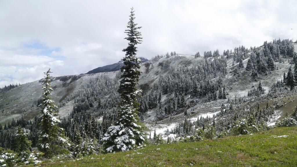 Snow dusted landscape at Olympic National Park.