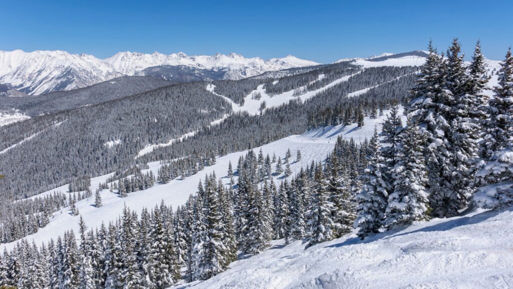 Vail ski resort with snowy slopes and trees.