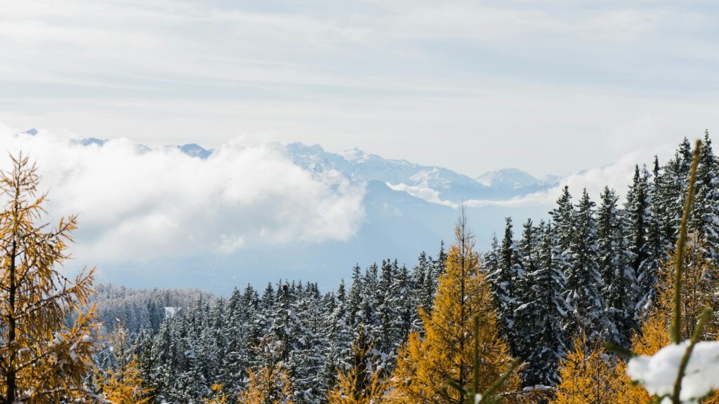 Snow capped mountains views in Europe with a mix of snowy trees and fall foliages. 